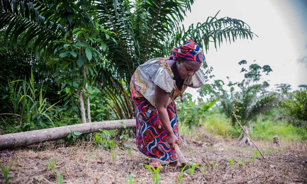 woman tends to seeds