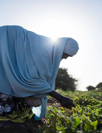 Ethiopian woman farming in field