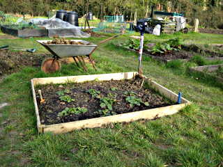Allotment bed